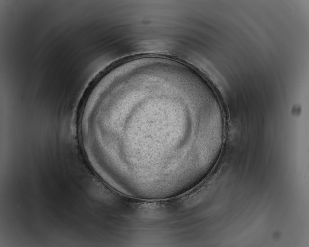 X0000102870883200809021445