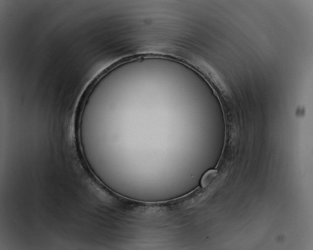 X0000102870884200809021445