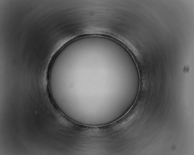 X0000102870885200809021445