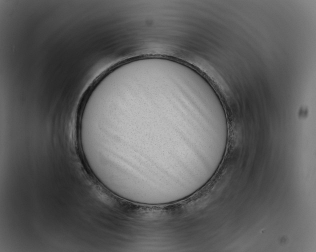 X0000102870886200809021445