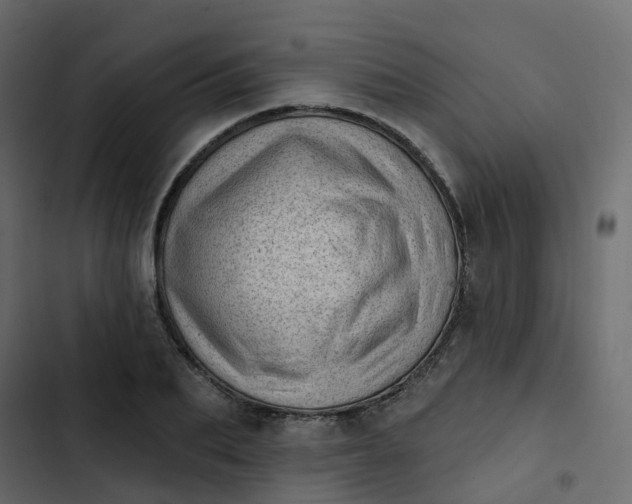 X0000102870887200809021445