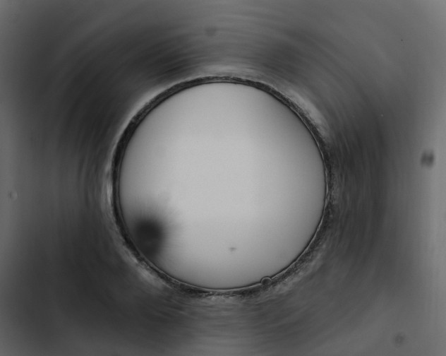 X0000102870888200809021445