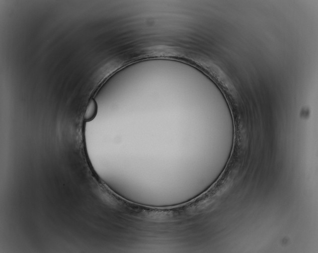 X0000102870889200809021445