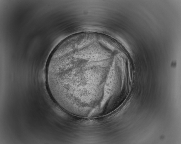 X0000102870891200809021445