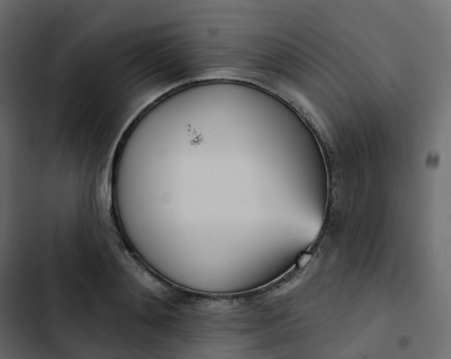 X0000102870892200809021445