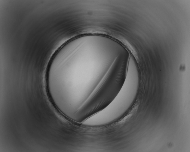 X0000102870893200809021445