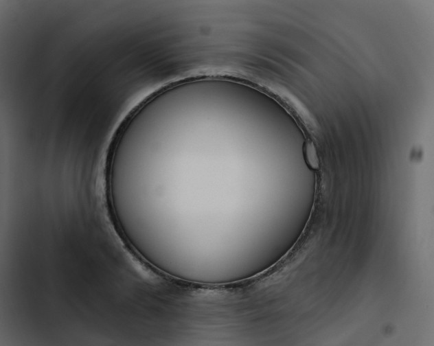 X0000102870894200809021445