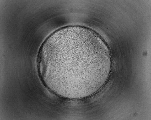 X0000102870895200809021444