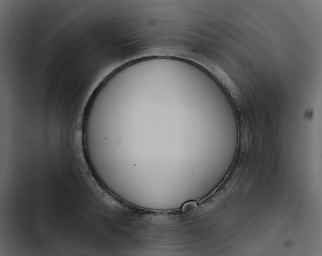 X0000102870896200809021444