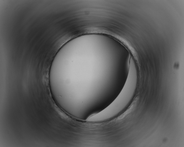 X0000102870897200809021444