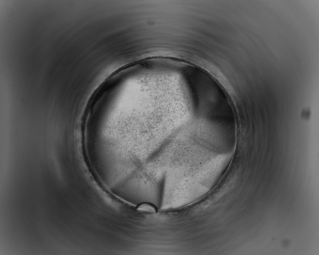 X0000102870898200809021444