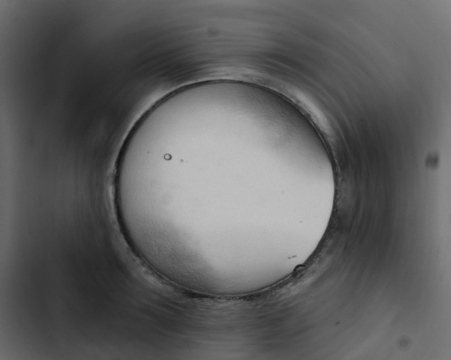 X0000102870899200809021444