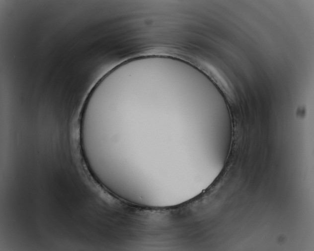 X0000102870900200809021444