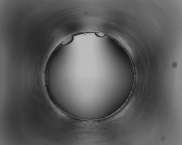 X0000102870901200809021444