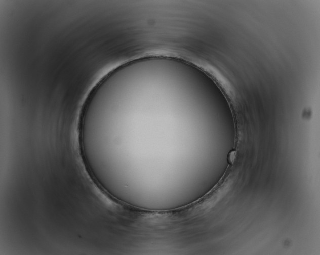 X0000102870902200809021444