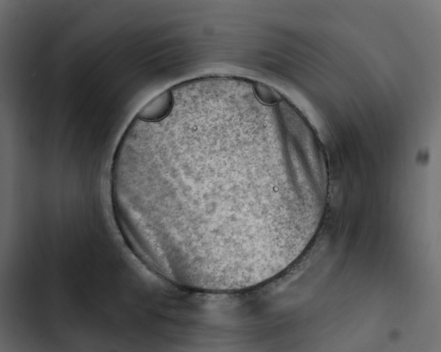 X0000102870903200809021444