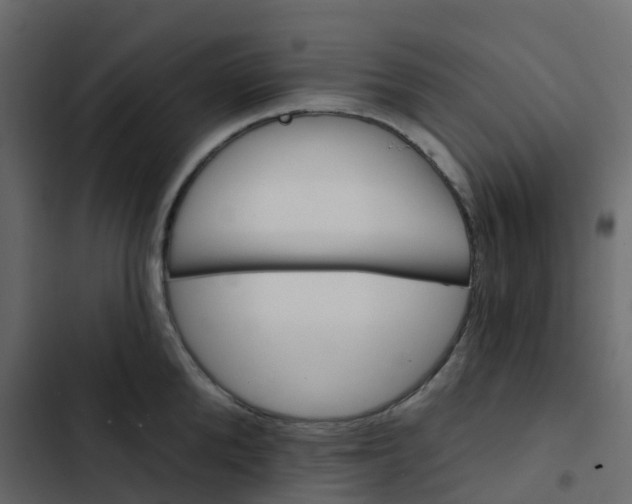 X0000102870904200809021444