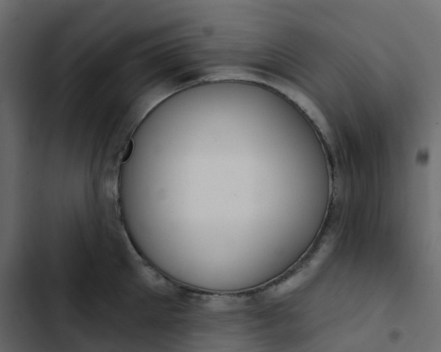 X0000102870905200809021444