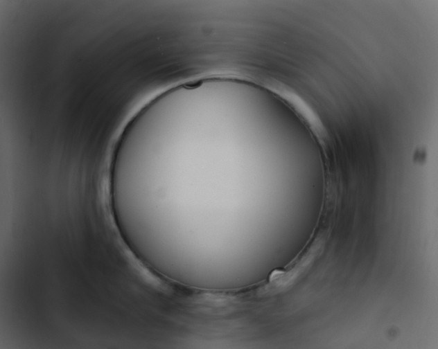 X0000102870910200809021444