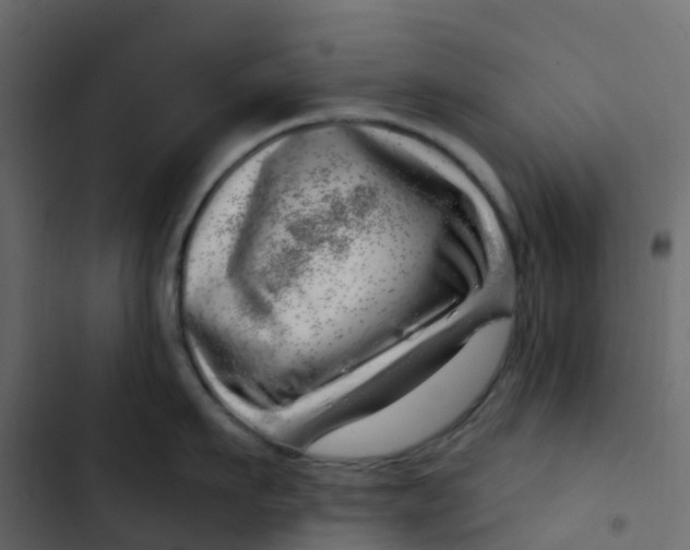 X0000102870911200809021444