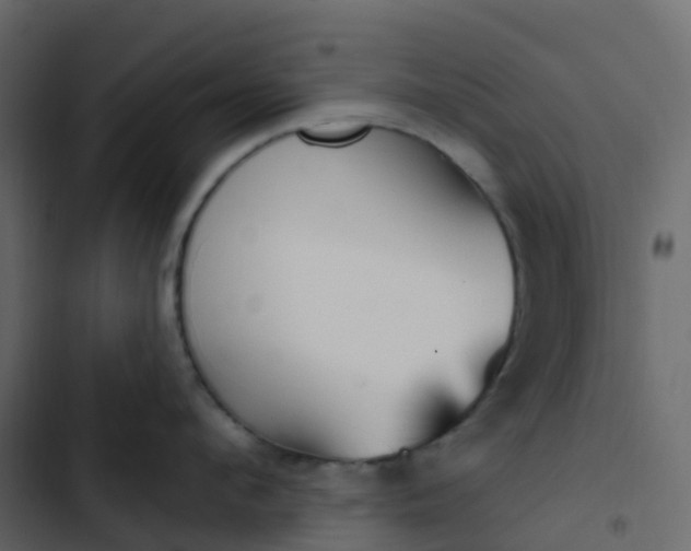 X0000102870912200809021444