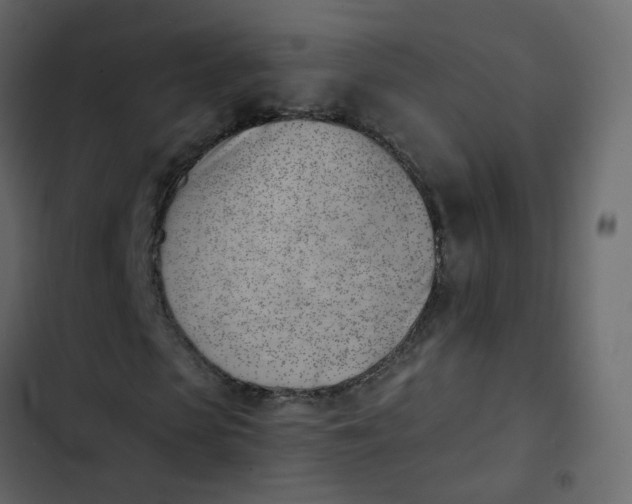 X0000102870913200809021444