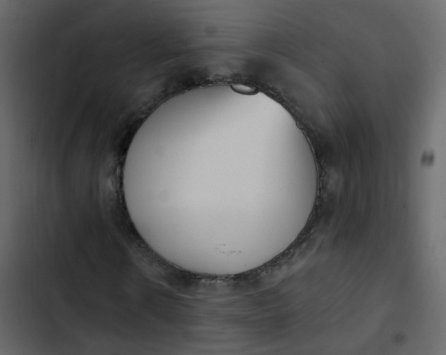 X0000102870914200809021444