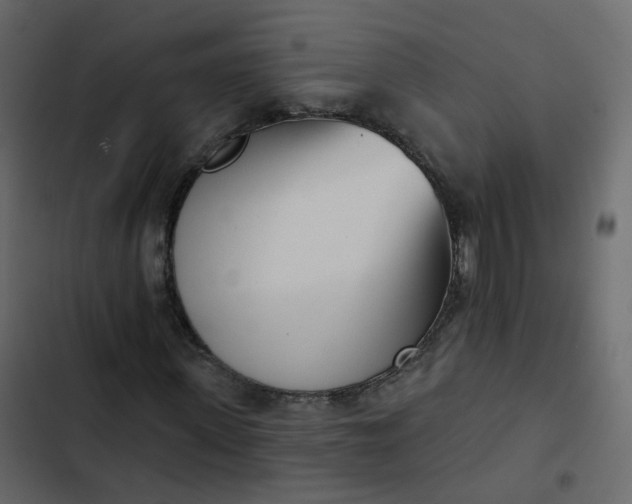 X0000102870915200809021444