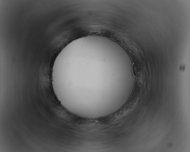 X0000102870916200809021444