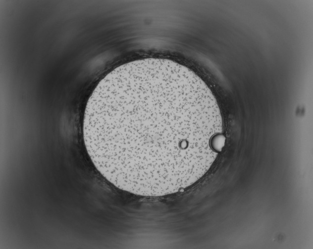 X0000102870918200809021444