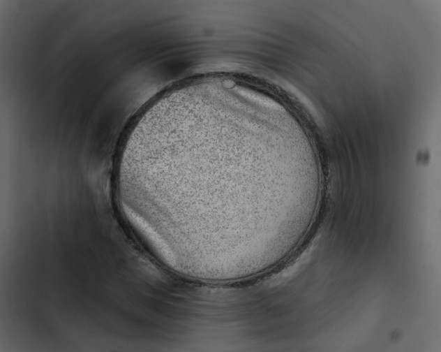 X0000102870921200809021444