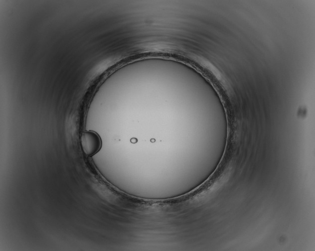 X0000102870922200809021444