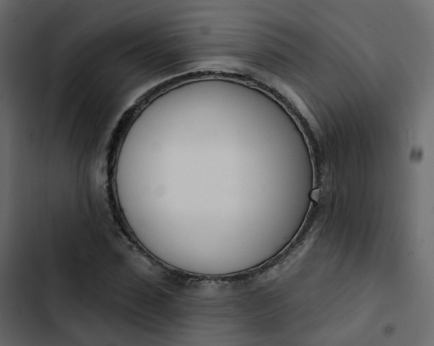 X0000102870923200809021444