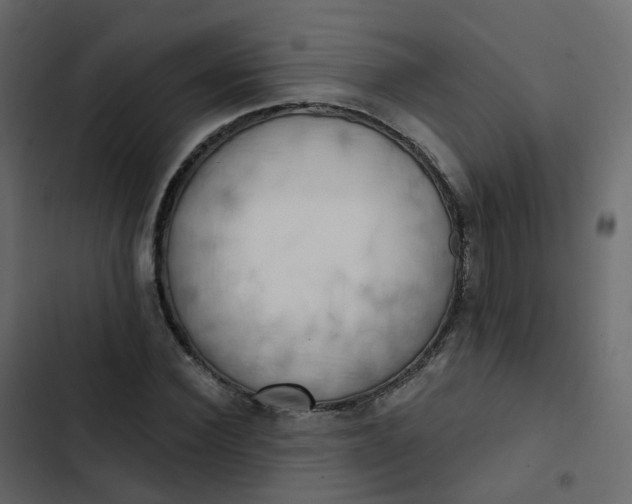 X0000102870924200809021444