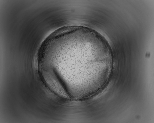 X0000102870925200809021444