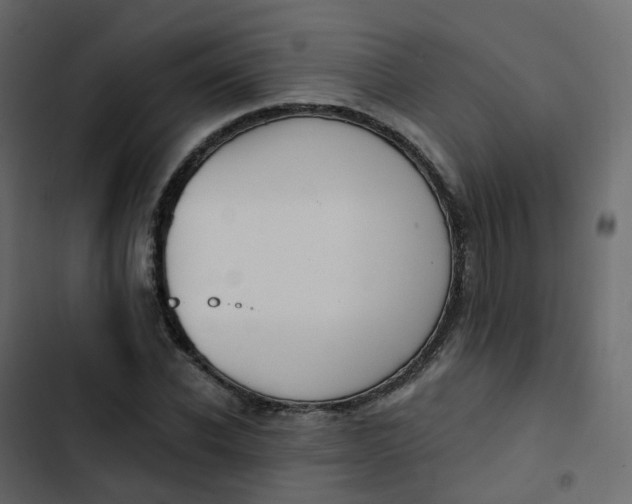 X0000102870926200809021444