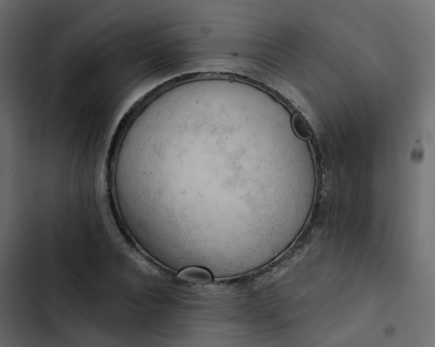 X0000102870928200809021444