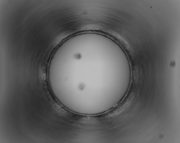 X0000102870929200809021444