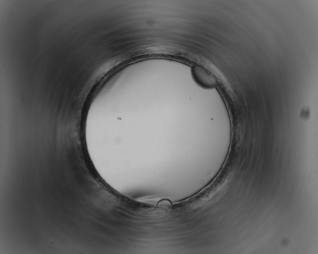 X0000102870930200809021444