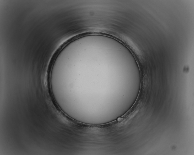 X0000102870932200809021444