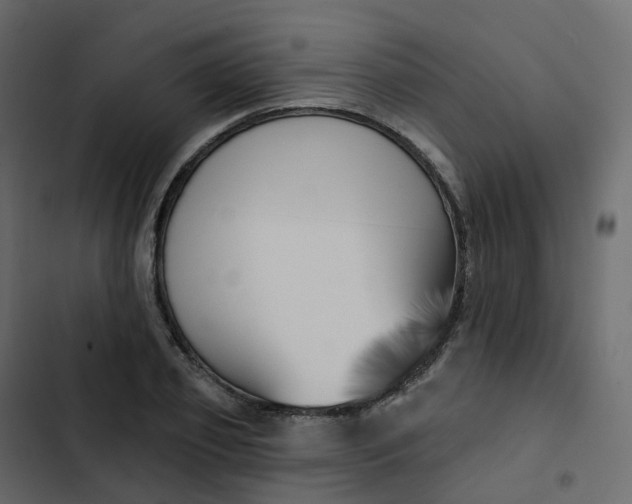 X0000102870933200809021444