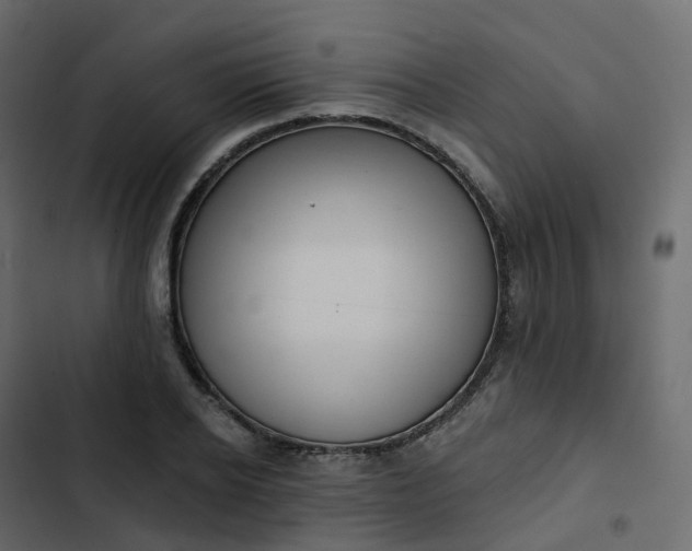 X0000102870934200809021444