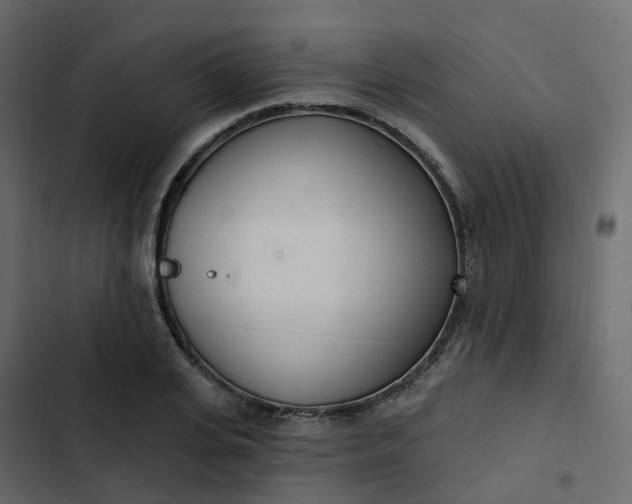 X0000102870935200809021444