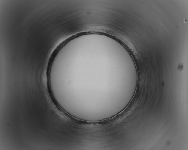 X0000102870936200809021444