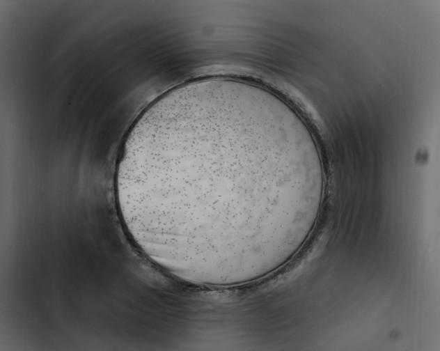 X0000102870937200809021444