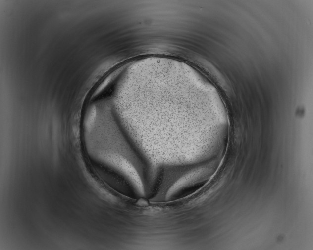 X0000102870938200809021444