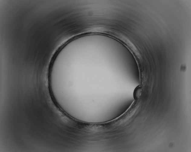 X0000102870939200809021444