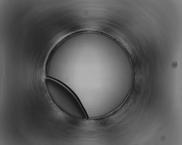 X0000102870940200809021444