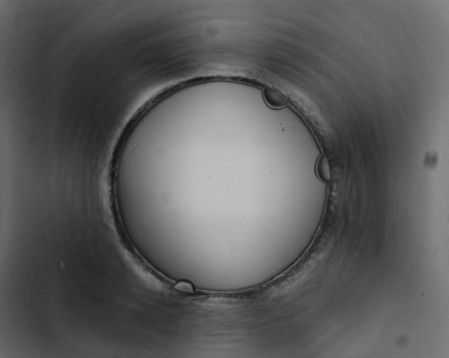 X0000102870942200809021444