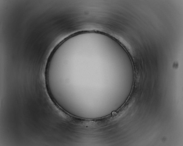 X0000102870943200809021444